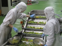 白鶴酒造株式会社も、半世紀近くにわたって、こだわりの「本格梅酒」を造り続けている