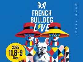 「French Bulldog LIVE」はフレンチブルドッグとオーナーが一緒に楽しめる「エンターテイメント型」野外イベント 写真は告知ポスター 「French Bulldog LIVE」はフレンチブルドッグとオーナーが一緒に楽しめる「エンターテイメント型」野外イベント 写真は告知ポスター
