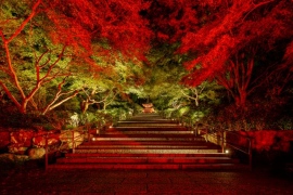 大阪府箕面市の勝尾寺 「宵まかせ」の灯りの演出によって、夜は一段と美しく幻想的に彩られる 大阪府箕面市の勝尾寺 「宵まかせ」の灯りの演出によって、夜は一段と美しく幻想的に彩られる