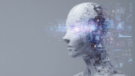 画像はイメージです 画像はイメージです