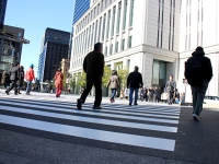 手取り増?178万円の壁合意。4月からの社会保険「契約判定」に注意