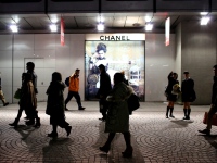 真面目な努力が報われないと感じる正体。企業のデジタル化と「見えない業務」の増大が招く疲弊。APA研究が示す生産性40パーセント低下の衝撃