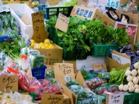 値上げラッシュは「一時休戦」か。3月の品目急減と、忍び寄る“円安・原油高”の影