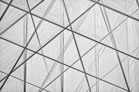 Photo by Robert Clark on Unsplash
