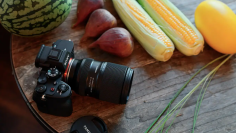 タムロン、25-200mmレンズの近接撮影能力を「ハーフマクロ以上」に引き上げる無料アップデートを公開