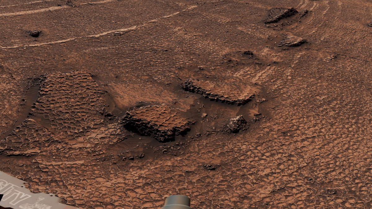 A close-up of the polygon fractures discovered by NASA’s Curiosity Mars rover highlights their honeycomb-like textures (Curiosity Rover/Nasa.gov)
