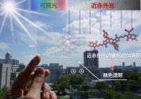 大阪大学産業科学研究所の横山創一助教、家裕隆教授らを中心とする共同研究グループが開発した無色透明な有機太陽電池の概要図（写真：発表資料より）。