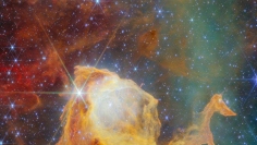 This NASA/ESA/CSA James Webb Space Telescope Picture of the Month takes us to a fantastical realm within our home galaxy, where piercing starlight and billowing winds sculpt dust clouds into inventive shapes. This scene is from the Carina Nebula, which lies just 7500 light-years away in the constellation Carina . The Keel (Nasa.gov)