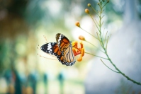 Photo by Calvin Mano on Unsplash