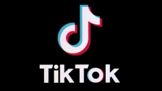 (Zulfugar Karimov/TikTok)