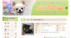 ブリーダー直販　子犬情報サイトの成約手数料が0円に！～広告収入から動物愛護団体に寄付を行い、動物保護に貢献～