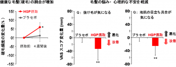 新規育毛活性成分「Hair Growth Peptide」の共同開発と学会発表のお知らせ