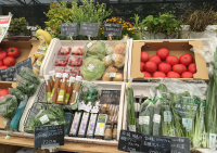 有機野菜の「ビオ・マルシェの宅配」、「Le Marche」にマルシェ初出店