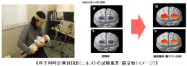 母子同時計測NIRS(ニルス)の試験風景・脳活動(イメージ)