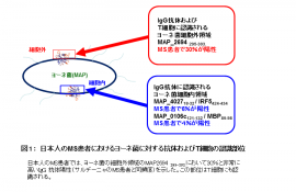 図１