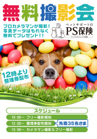 イースターのスタジオセットで、愛犬の記念写真をプロカメラマンが無料撮影！ペット保険の「PS保険」が代々木公園で開催の愛犬家向けイベント(4/15、16)に出展！