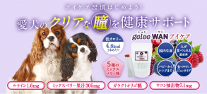 愛犬の瞳のトラブル予防に！犬用アイケアサプリメント『gelee WAN アイケア』を3月16日より販売開始