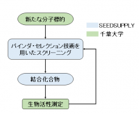 新たな分子標的をターゲットにした上皮がん治療薬の探索研究「産学連携による新たな初期創薬プロセスモデルの構築」