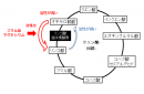 図2. ラン藻のクエン酸回路におけるリンゴ酸脱水素酵素（MDH）のはたらき