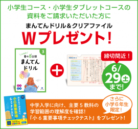 ｚ会の通信教育 小学生向けコース 6月29日まで 学年別 夏の8