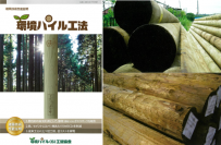 兼松サステック、木材の地中利用『環境パイル工法』を国土交通省の新技術情報提供システム(NETIS)に登録