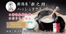 新潟米「新之助」を食べて、にいがた和牛や地酒が合計500名様に当たる！！キャンペーン開催中