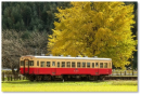 上総久保駅の大イチョウ