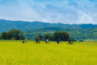 宮城県登米市に4つのサイクリングコース誕生！サイクリングでまるごと登米を楽しむ『田園ライド TOME-FUL（トメフル）』