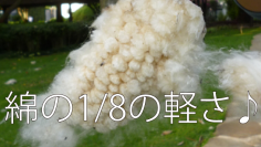 驚異の天然繊維「カポック」を使用した軽くてエコなカットレングスパンツ　Makuakeにて5月5日(水・祝)より販売開始！