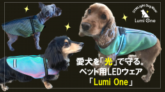 愛犬を「光」で守る！made in 福井のペット用LEDウェアを井上リボン工業がMakuakeで6月29日まで先行販売！