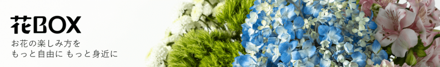 産地直送通販サイト「ＪＡタウン」で 初の生花専門ショップ「花ＢＯＸ」がオープン