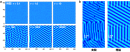 図1　(a) ビスマス単原子膜で時間と共にチューリング・パターンが形成される様子。(b) 実験と理論の比較。