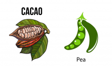 植物性原料使用、食物アレルギー対象原料不使用『植物性チョコレート風味粉末』を販売開始