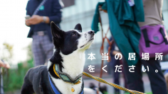 地域の方からも愛される犬にするためのクラウドファンディングを実施