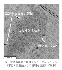 日本顕微鏡学会において、「凍結超薄切片法を用いた生乳に存在するカゼインミセルの微細構造観察」が日本顕微鏡学会論文賞を受賞しました