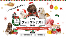 愛犬と一緒にクリスマス・年末年始を楽しもう！「コミフフォトコンテスト2021」を開催　～受賞者の方に豪華プレゼントが当たる～