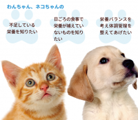 犬猫用不足栄養素検査／ペットの栄養素足りていますか？被毛から検査できる不足栄養素検査「フソクタス(不足＋)」を発売