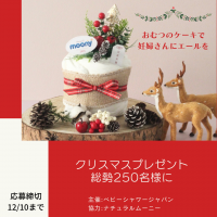 妊婦さんにエールを届けよう！総勢250名様に向け、ダイパーケーキ(おむつケーキ)のクリスマスプレゼント企画が11月25日から開始