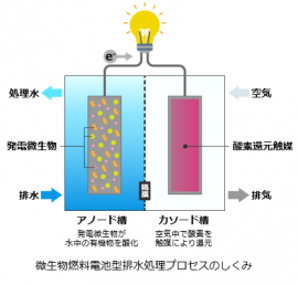 微生物燃料電池型排水処理プロセスのしくみ