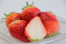 ぎふの苺「華かがり」 ぎふの苺「華かがり」