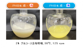 図1 PHBの生産培養中に発生する 「泡」