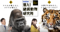 動物の危機と私たちの生活から未来を考える　ブラザー presents 潜入！絶滅動物研究所　3月20日(日)午後3時放送！