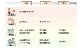 母子保健業務の例