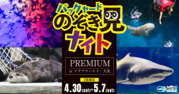 アクアワールド・大洗、普段入ることができない水族館の“裏側”を楽しめる「ナイト限定特別イベント」を4月30日、5月7日に開催