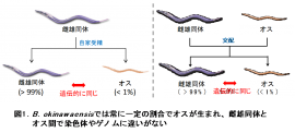 図1 図1