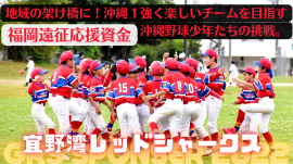 クラウドファンディング　サムネイル画像
