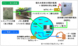 バイオガスで作動する燃料電池とIoTを導入したエビ養殖システムの概要図 バイオガスで作動する燃料電池とIoTを導入したエビ養殖システムの概要図