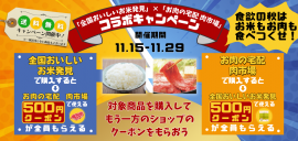 「全国おいしいお米発見」と「お肉の宅配 肉市場」のコラボキャンペーン 「全国おいしいお米発見」と「お肉の宅配 肉市場」のコラボキャンペーン
