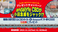 業界初(※)！“andalyfe CBD”(アンダライフCBD)が小田急小田原線の吊革をジャック！？吊革ジャックを記念して、睡眠の質を改善するCBDオイルとAmazonギフト券￥2,000を10名様にプレゼント【実施期間：2022年11月22日～11月30日】