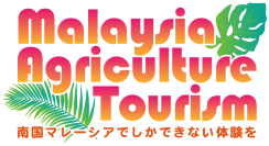 ［駐日マレーシア大使館 農務部］初めての日本人向けアグロツーリズムを企画・販売開始　グルメだけではなく体験を通してマレーシアの食を楽しめるツアー